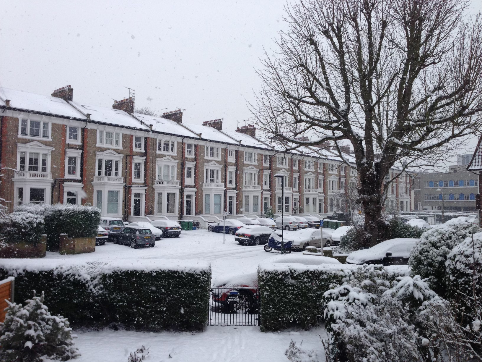 20 The Baron in snow